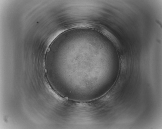 X0000102240852200807251258