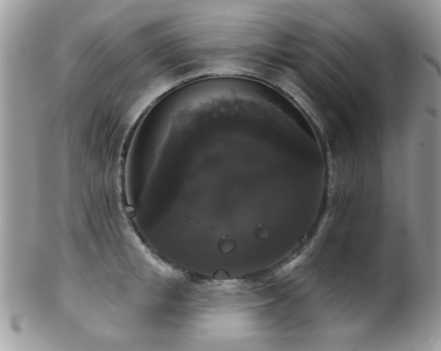 X0000102240853200807251258