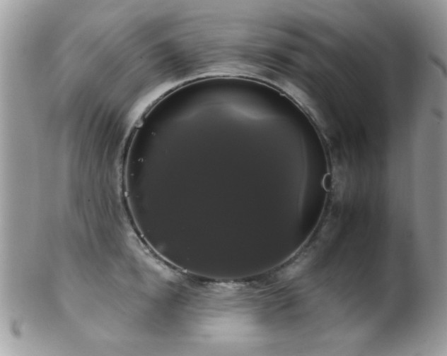 X0000102240854200807251258