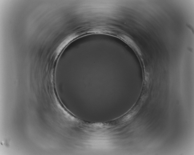 X0000102240855200807251258