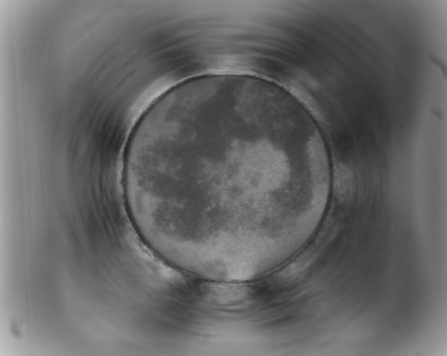 X0000102240856200807251258