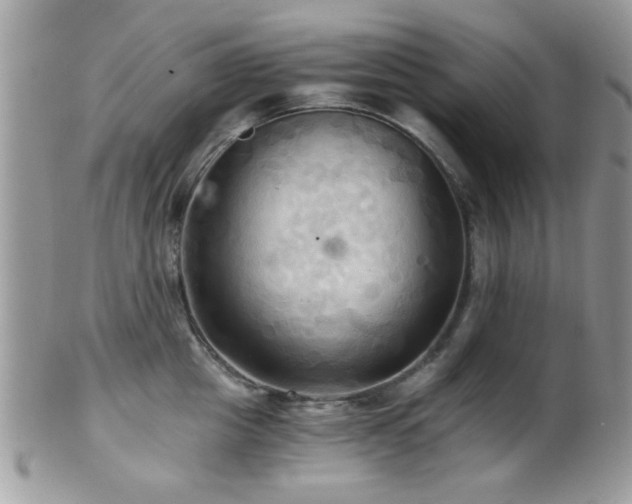 X0000102240857200807251258