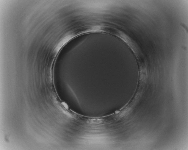 X0000102240858200807251258