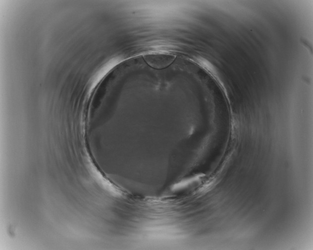 X0000102240859200807251258