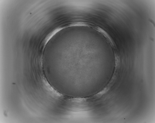 X0000102240860200807251258