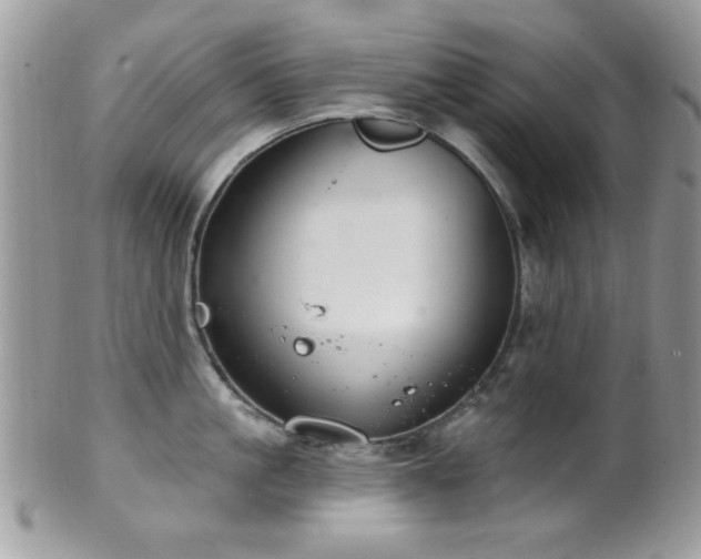 X0000102240861200807251258