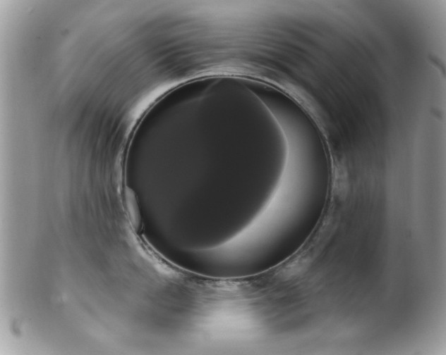 X0000102240862200807251258