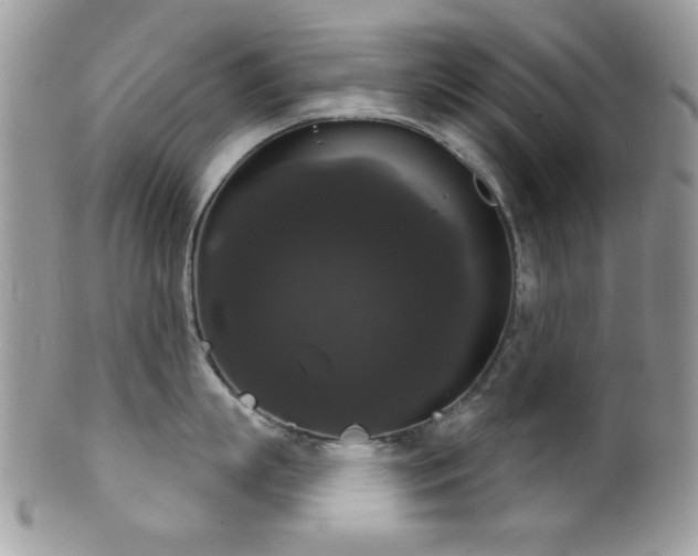 X0000102240863200807251258