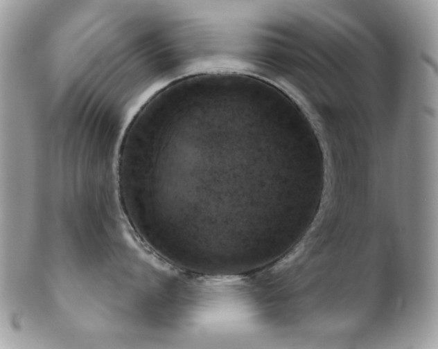 X0000102240864200807251258