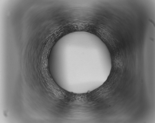 X0000102240865200807251257