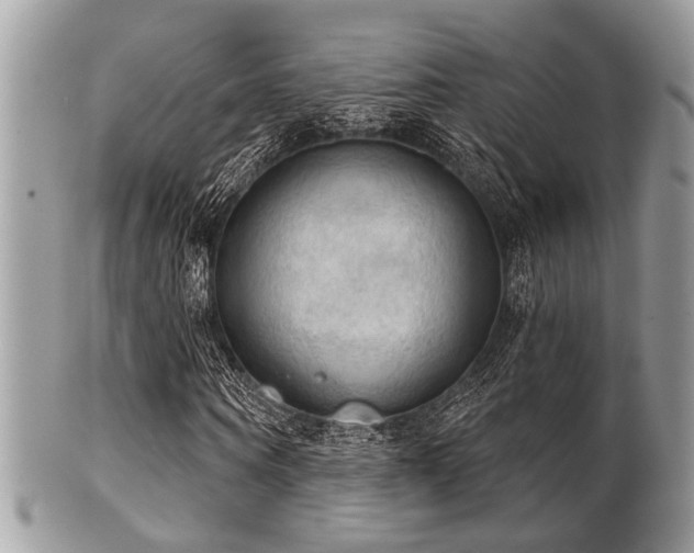 X0000102240866200807251257