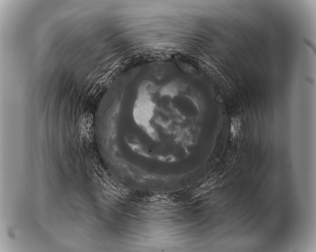 X0000102240867200807251257