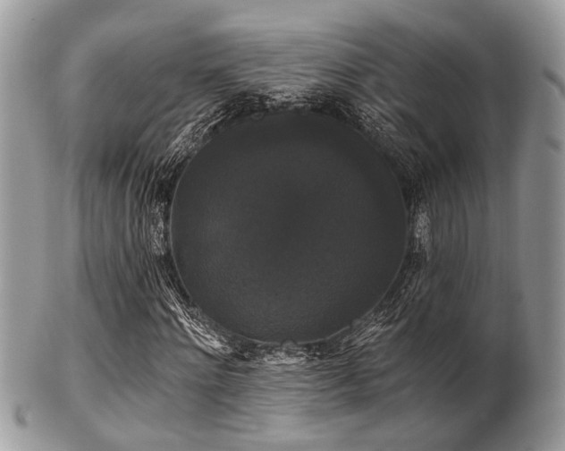 X0000102240868200807251257