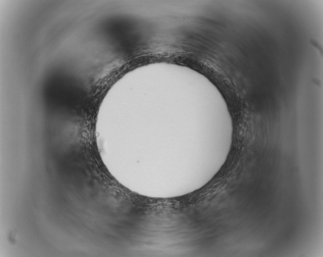 X0000102240869200807251257