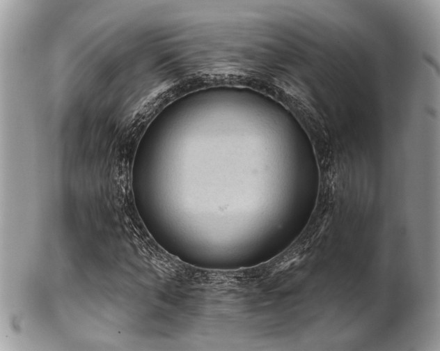 X0000102240870200807251257