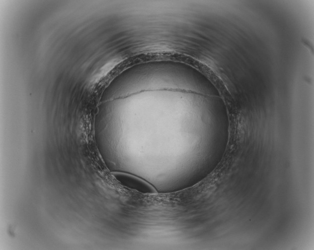 X0000102240871200807251257