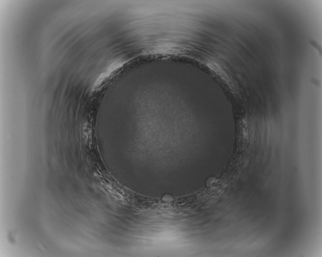 X0000102240872200807251257