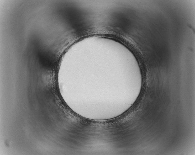 X0000102240873200807251257