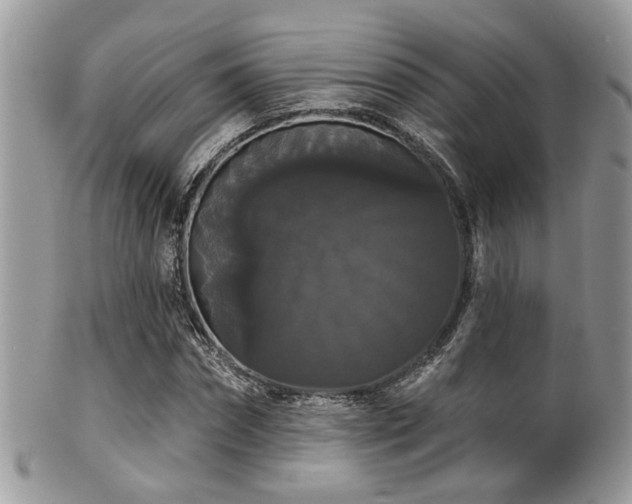 X0000102240874200807251257