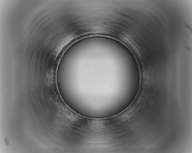 X0000102240875200807251257