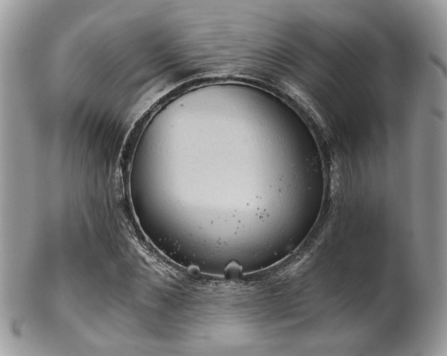 X0000102240876200807251257