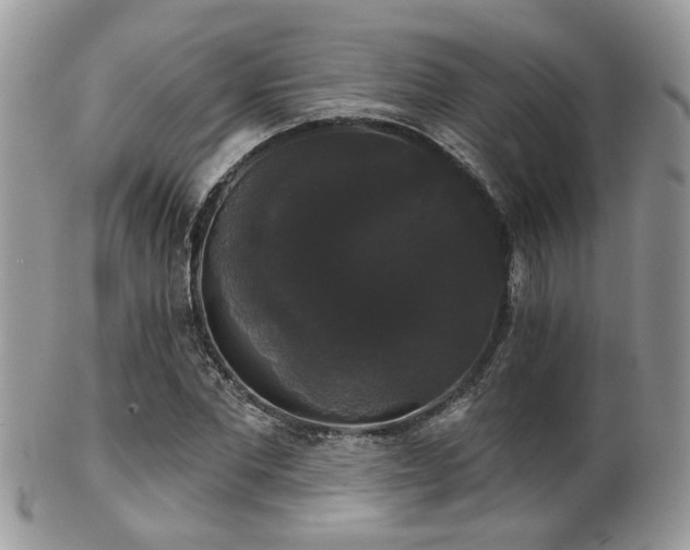 X0000102240877200807251257