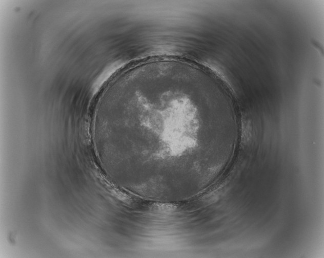 X0000102240878200807251257