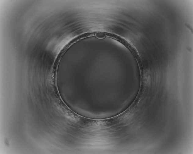 X0000102240879200807251257