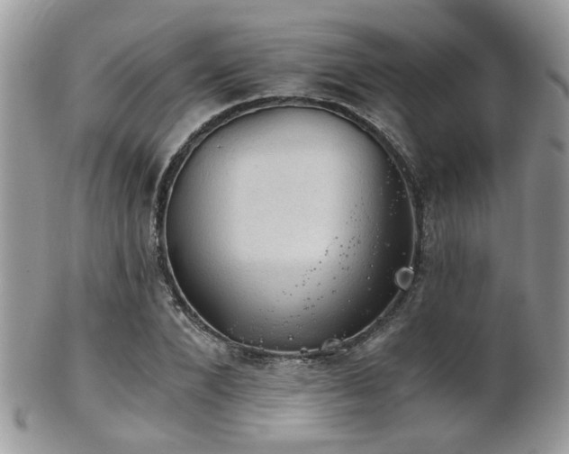 X0000102240880200807251257