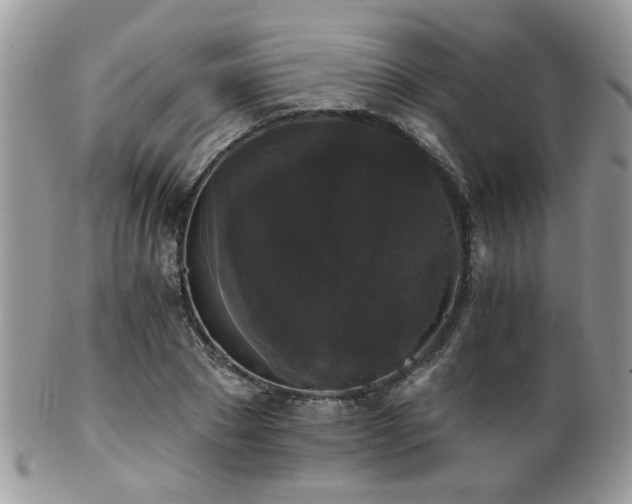 X0000102240881200807251257