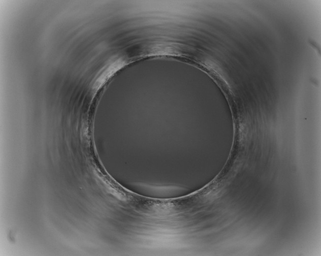 X0000102240882200807251257