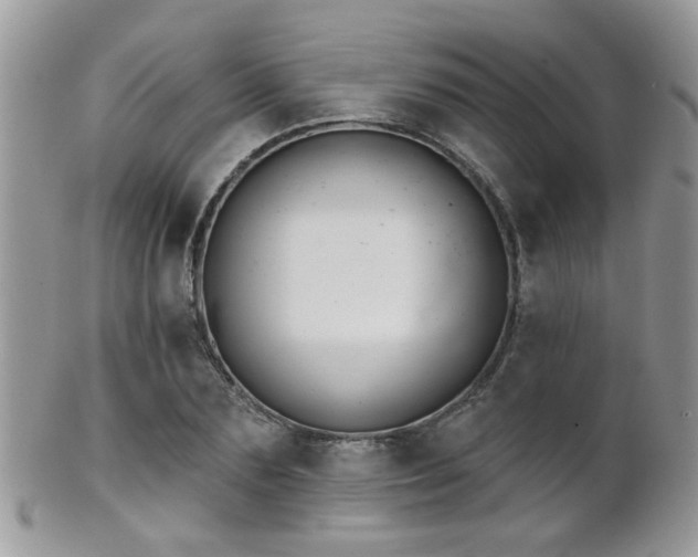 X0000102240883200807251257