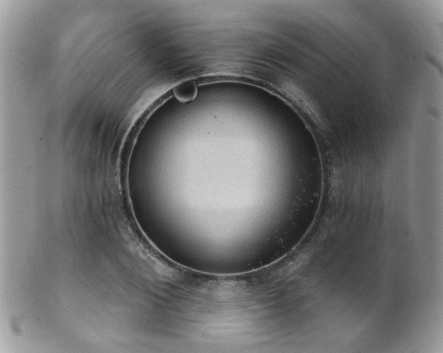 X0000102240884200807251257