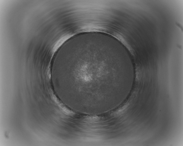 X0000102240885200807251257