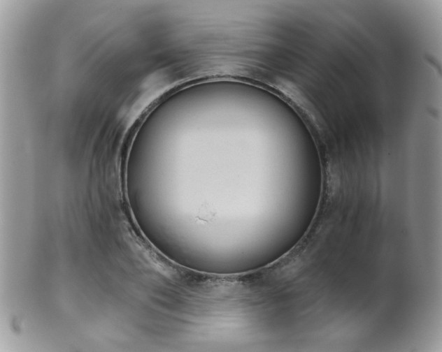 X0000102240886200807251257