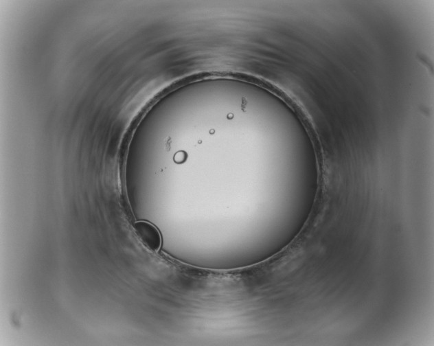 X0000102240887200807251257