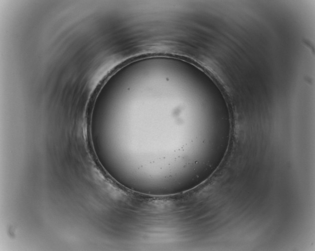 X0000102240888200807251257