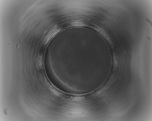 X0000102240889200807251257