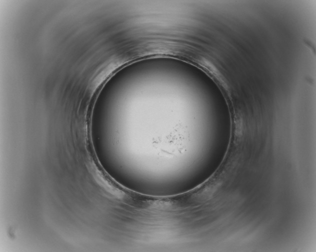 X0000102240890200807251257