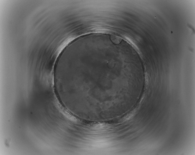 X0000102240891200807251257