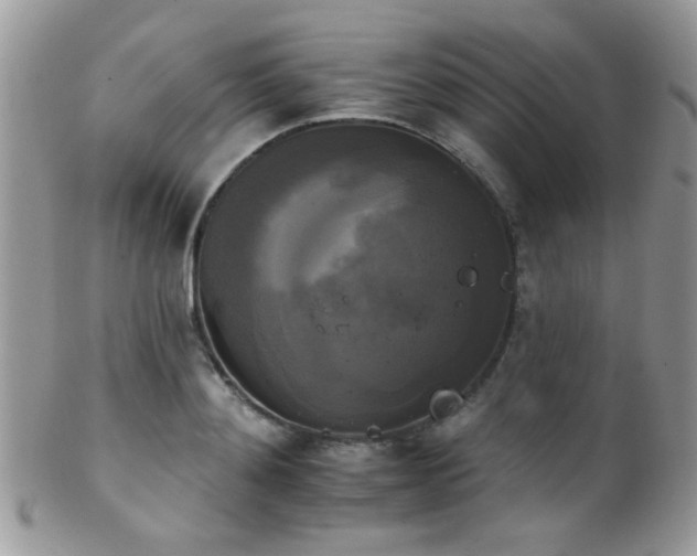 X0000102240892200807251257