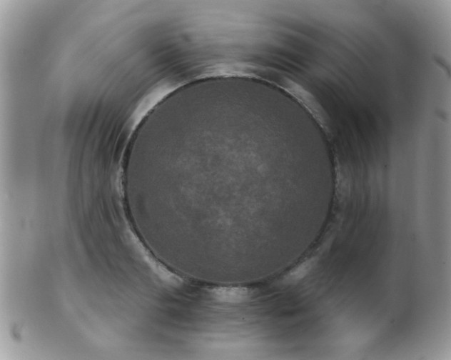 X0000102240893200807251257