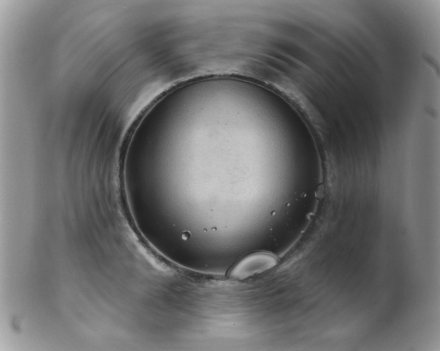 X0000102240894200807251257