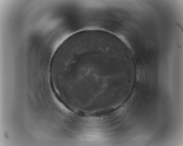 X0000102240895200807251257