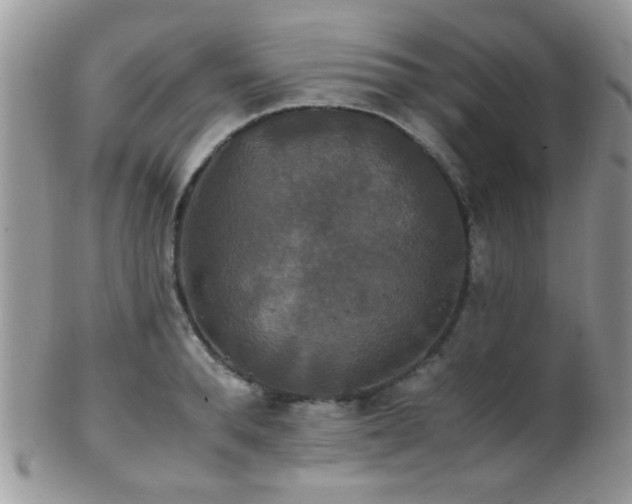 X0000102240896200807251257