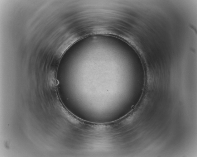 X0000102240897200807251257