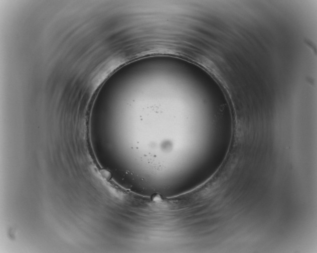 X0000102240898200807251257