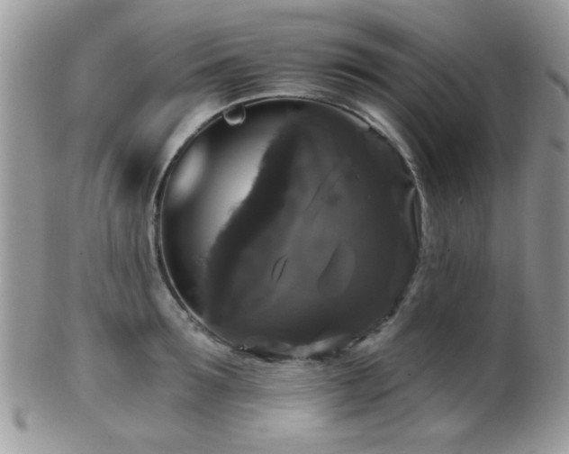 X0000102240899200807251257