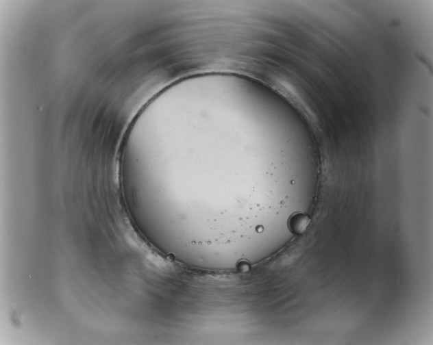 X0000102240900200807251257