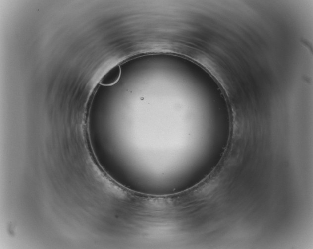 X0000102240901200807251257